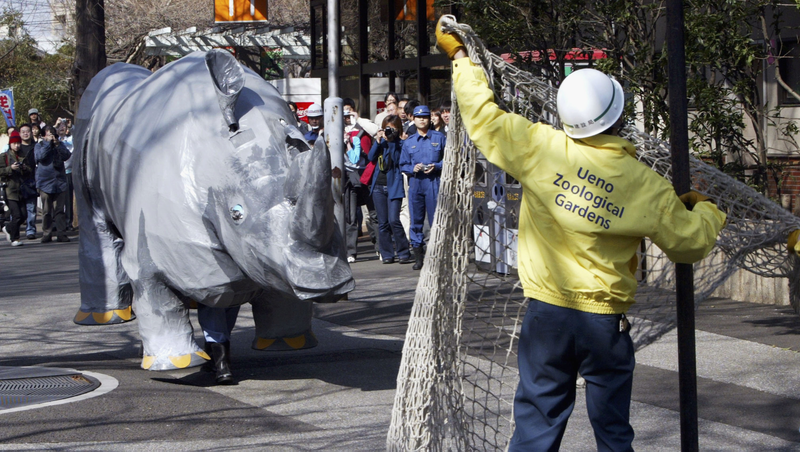 Illustration for article titled The Amazing World Of Zoo Drills, With Humans Dressed As Escaped Animals